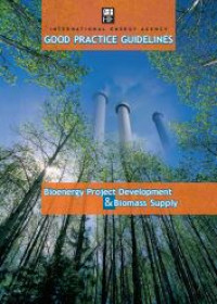 Image of E-book Bioenergy Project Development and Biomass Supply