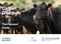 Image of E-book Cattle Diseases : The Farmer's Guide