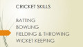 E-book Cricket Skills
