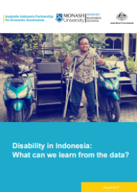 Image of E-book Disability in Indonesia : What can We Learn from the Data?