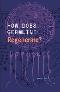 Image of E-Book How Does Germline Regenerate?