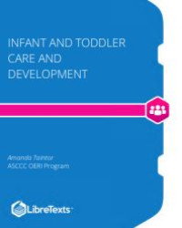 Image of E-book Infant and Toddler Care and Development