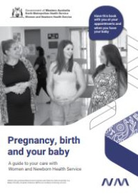 Image of E-book Pregnancy, Birth and Your Baby