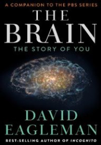 Image of E-book The Brain : The Story of You