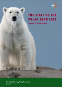 Image of E-book The State of the Polar Bear Report 2021