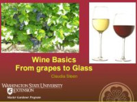 Image of E-book Wine Basics from Grapes to Glass
