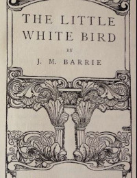 Image of E-book The little white bird