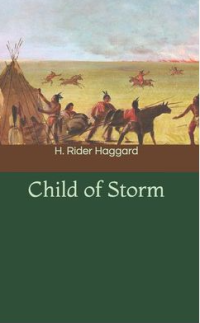 E-book Child of storm