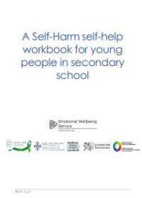 E-book A Self-Harm Self-help Workbook for Young People in Secondary School