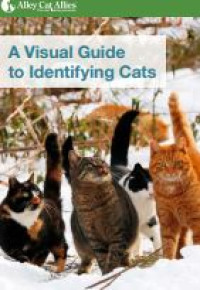 E-book A Visual Guide to Identifying Cats