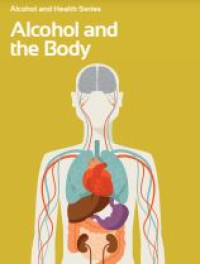 E-book Alcohol and the Body