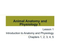 E-book Animal Anatomy and Physiology 1