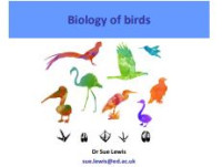E-book Biology of Birds