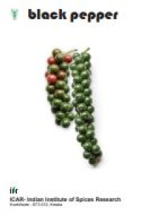 E-book Black Pepper