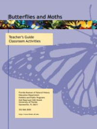 E-book Butterflies and Moths