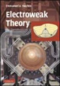 Image of E-book Electroweak Theory