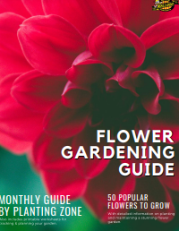 Image of E-book Flower Gardening Guide : Monthly Guide by Planting Zone