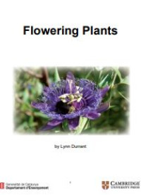 Image of E-book Flowering Plants