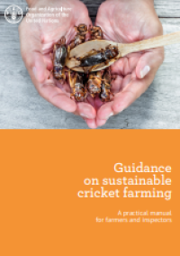 E-book Guidance on Sustainable Cricket Farming