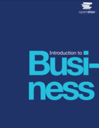 E-book Introduction to Business