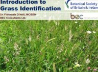 E-book Introduction to Grass Identification