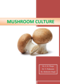 E-book Mushroom Culture