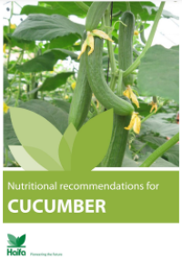 E-book Nutriotional Recommendation for Cucumber