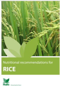 E-book Nutriotional Recommendations for Rice