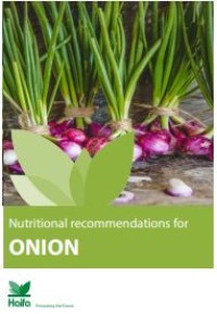 E-book Nutritional Recommendations for Onion