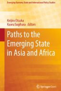 E-book Paths to the Emerging State in Asia and Africa