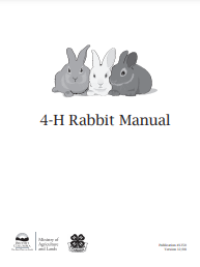 E-book Rabbit Manual