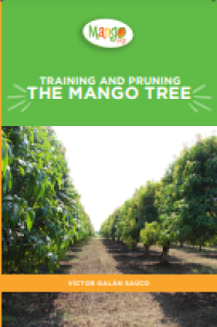 E-book The Mango Tree : Training and Pruning