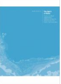 E-book The Spirit Of Water