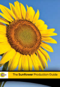 E-book The Sunflower Production Guide