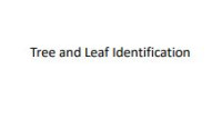 E-book Tree and Leaf Identification
