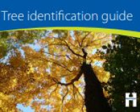 E-book Tree Identification Guide