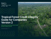 E-book Tropical Forest Credit Integrity Guide for Companies