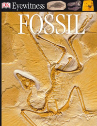 Ebook DK Eyewitness: Fossil