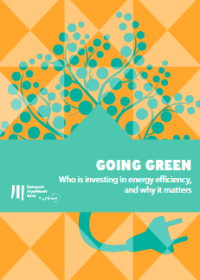 E-book Going Green : Who is Investing in Energy Efficiency and Why It Matters