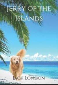 E-book Jerry of the islands