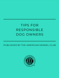 E-book Tips for Responsible Dog Owners