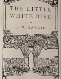 E-book The little white bird