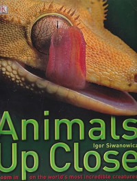 E-book Animals Up Close: Zoom in on the World's Most Incredible Creatures