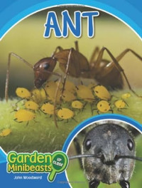 E-book Ant (Garden Minibeasts Up Close)
