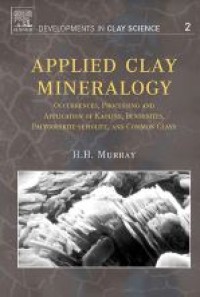 E-book Applied Clay Mineralogy
