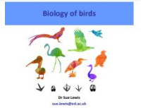 E-book Biology of Birds