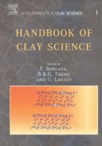 E-book Handbook of Clay Science