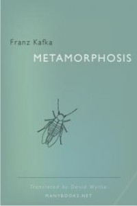 E-Book Metamorphosis