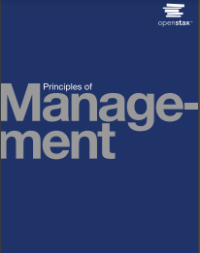 E-book Principles of Management