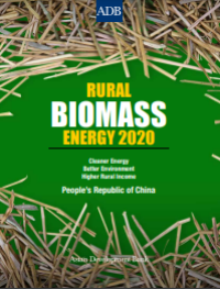 E-book Rural Biomass Energy 2020